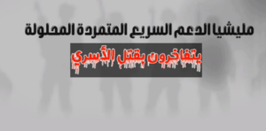 Screenshot 2024 12 01 131322 1