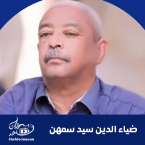 ضياء الدين سيد سمهن