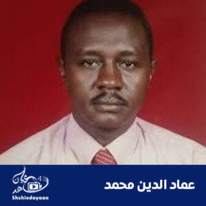 عماد الدين محمد