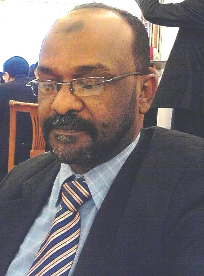 ذوالنورين نصرالدين