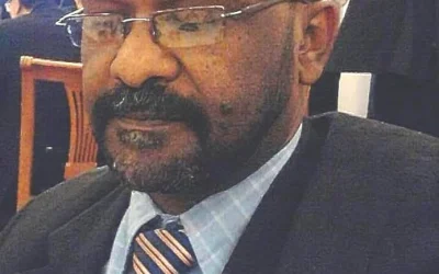 ذوالنورين نصرالدين