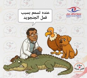 ك1 3
